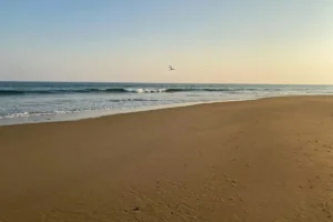 Read more about the article Kamperem nad&nbsp;morze – poradnik 2026