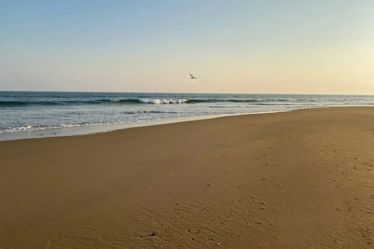 kamperem nad morze You are currently viewing Kamperem nad morze – poradnik 2026