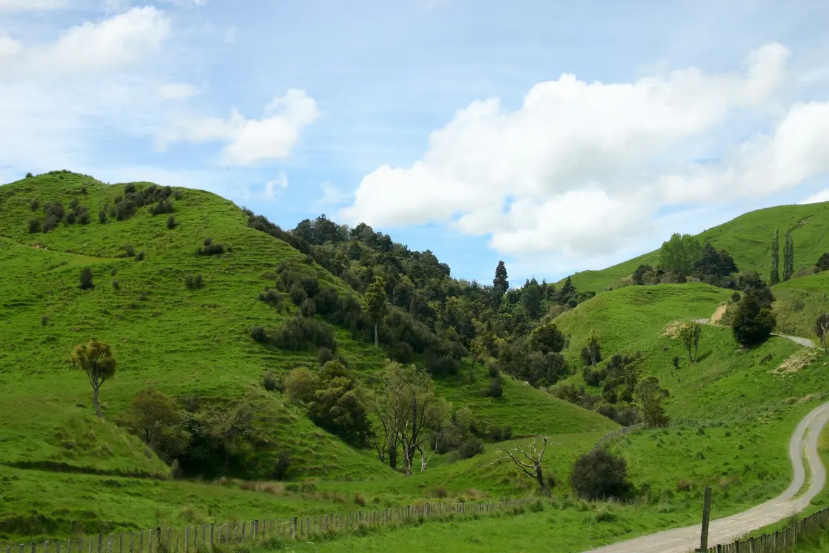 nowa zelandia